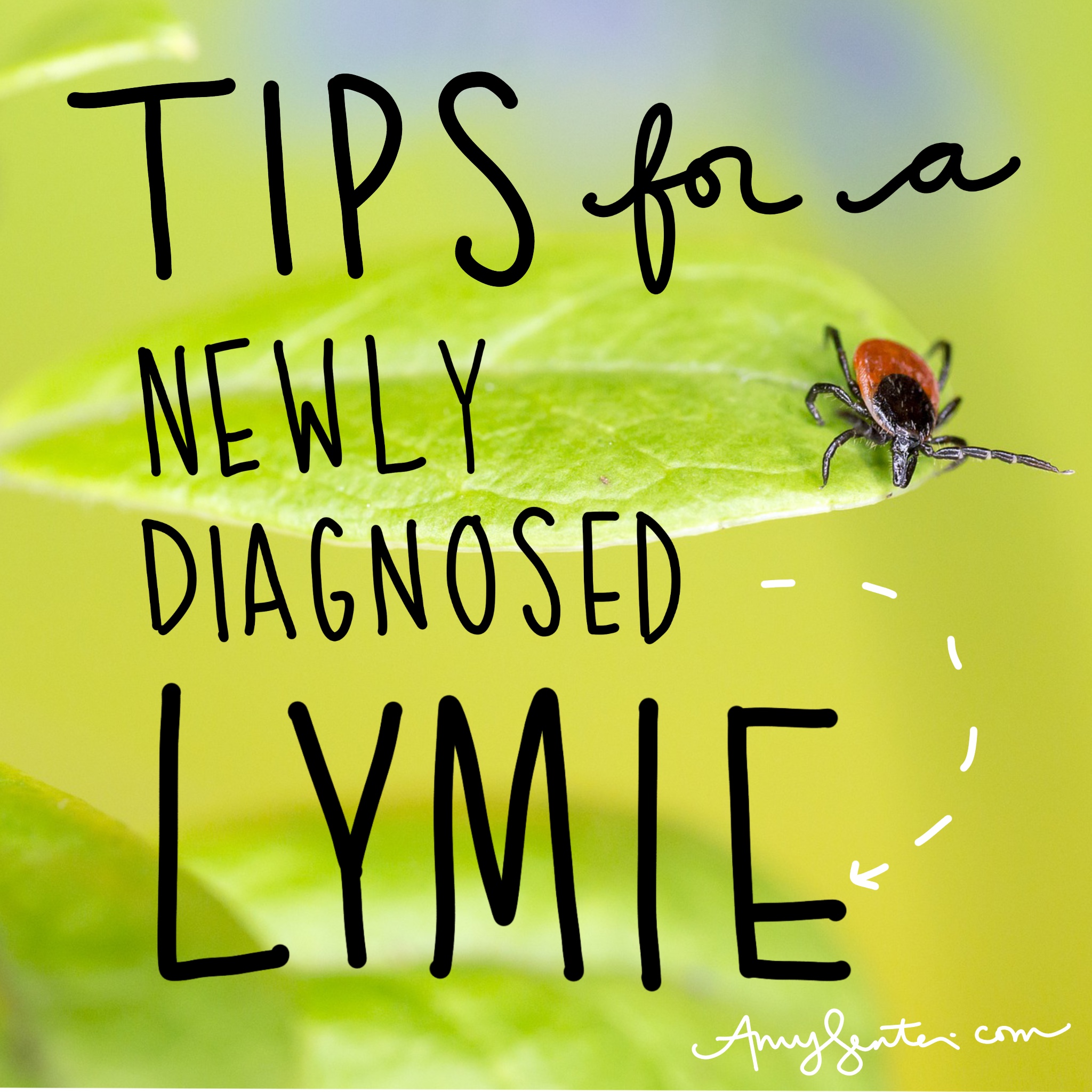 Hope for Living with Chronic Lyme Disease